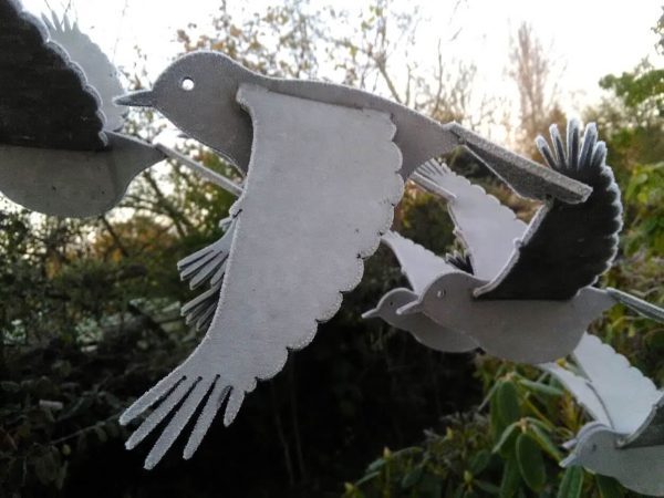vogelvlucht beeld met koude vogels